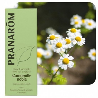 Huile essentielle Camomille noble Bio compte gouttes 5ml Pranarôm camomille  romaine Herboristerie de paris